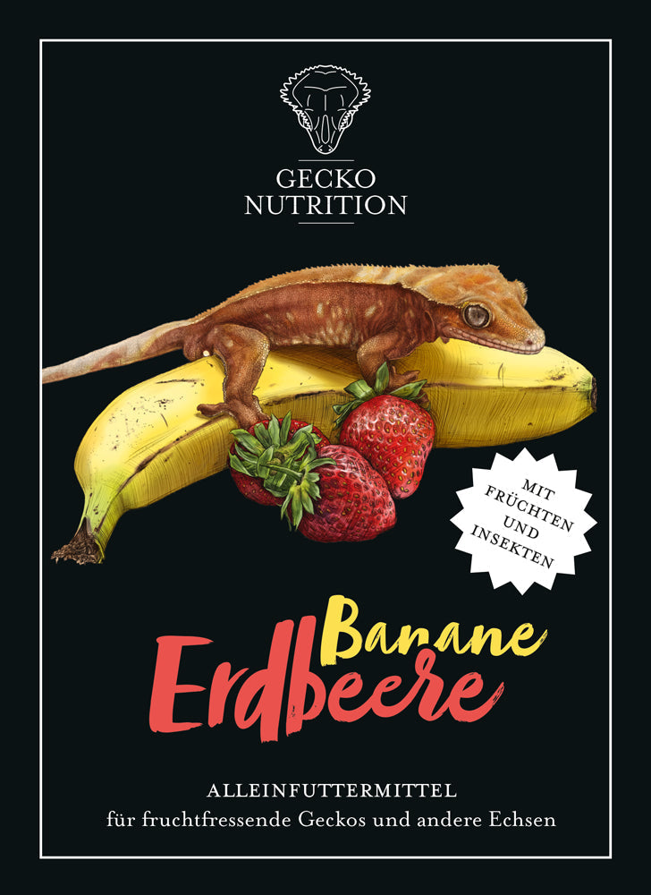 Gecko Nutrition banana e fragola 100g