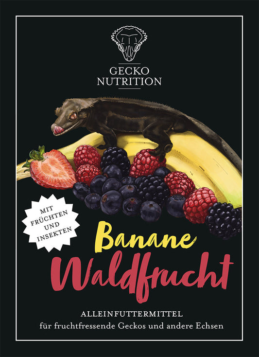 Gecko Nutrition banana e frutti di bosco 100g